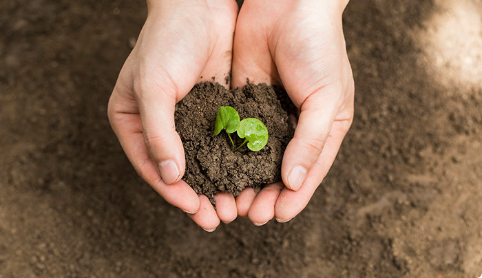 HANGFAT-ESG - Sustainability