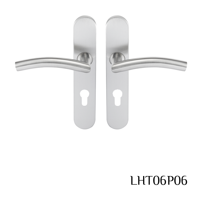 Stainless Steel C Form En Standard Lever Handle LHT06P06