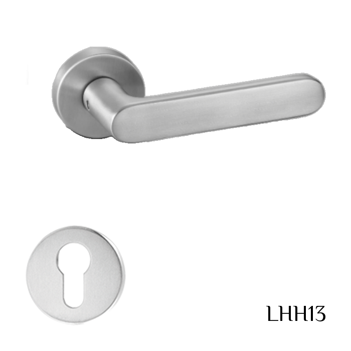 Stainless Steel Hollow Special Form En Standard Lever Handle LHH13